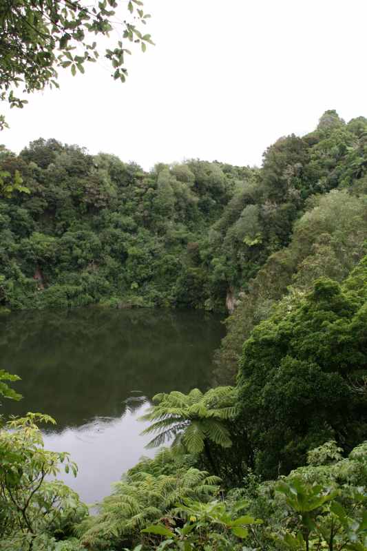 Nieuw-Zeeland 2011 - 0684